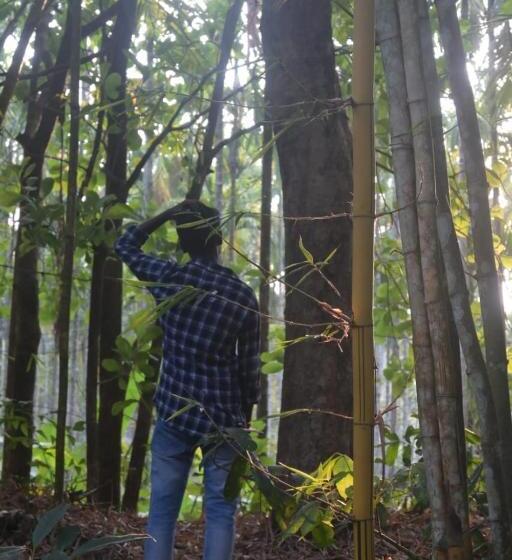 膳宿费 The Camptime Forest Stay