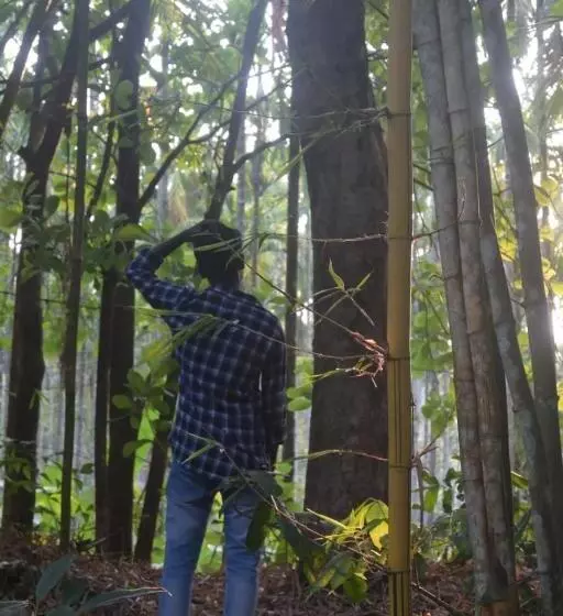 ペンション The Camptime Forest Stay