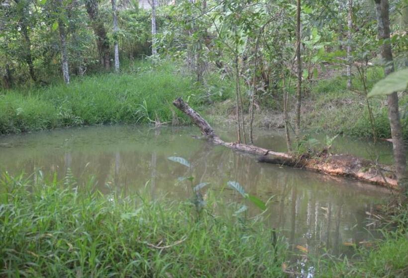 膳宿费 The Camptime Forest Stay