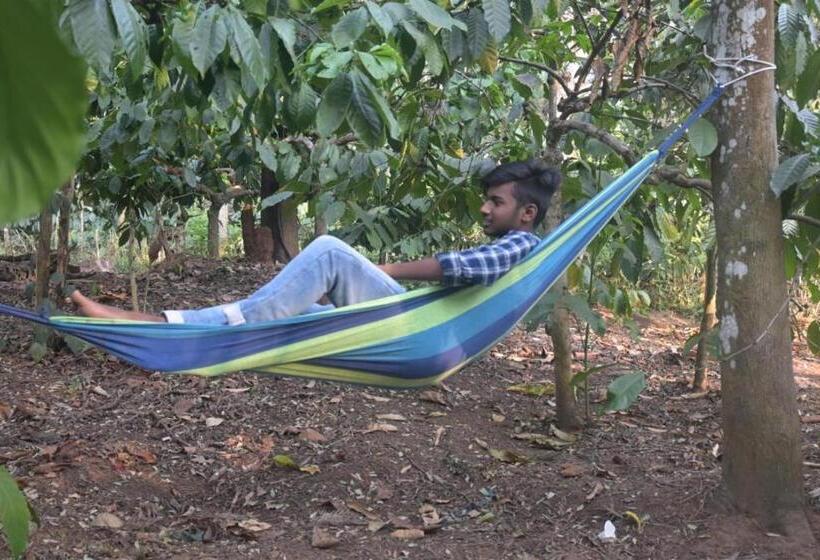 膳宿费 The Camptime Forest Stay