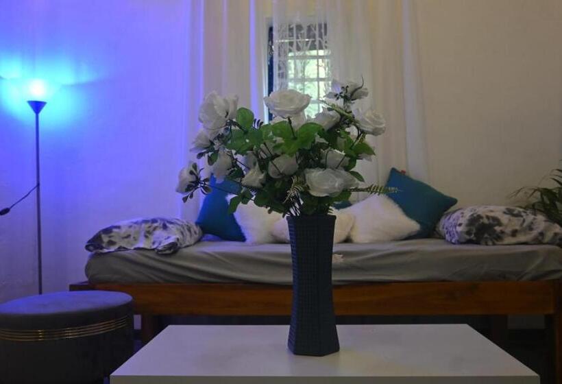 膳宿费 The Camptime Forest Stay