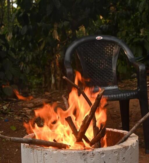 膳宿费 The Camptime Forest Stay