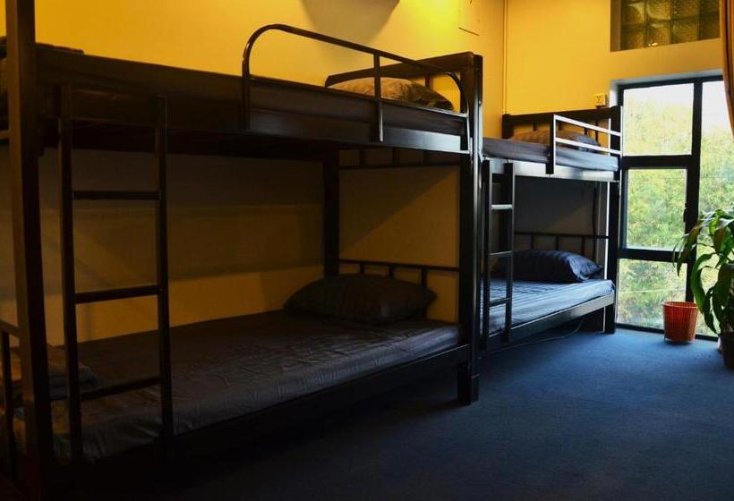 Schronisko Cosmos Guesthouse Snack Bar