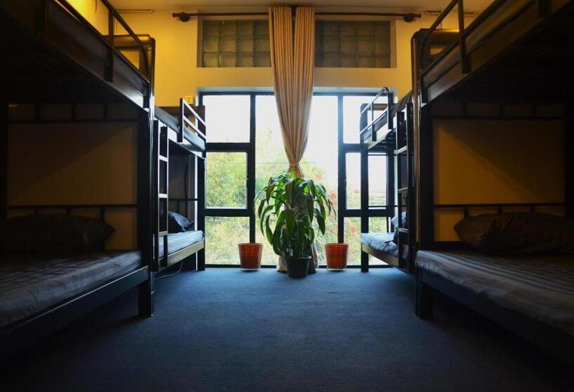 Schronisko Cosmos Guesthouse Snack Bar