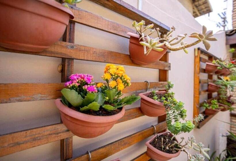 فندق Boipeba Oasis Resort