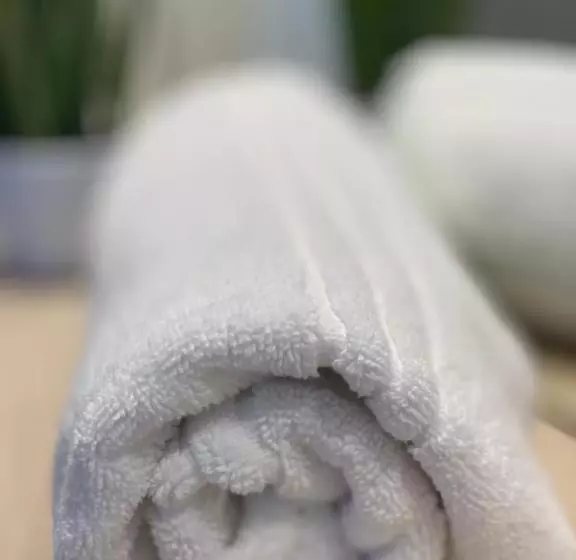 هتل Guesthouse Große Linde