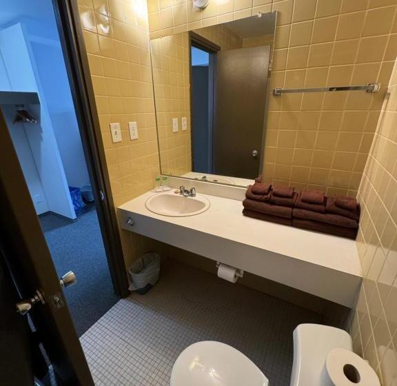 בית מלון כפרי Minnedosa Inn