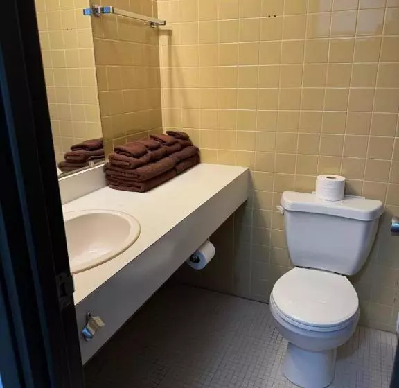 Hotelli Minnedosa Inn