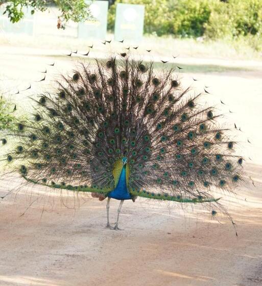 Pensão Bhawana Canal View Resort