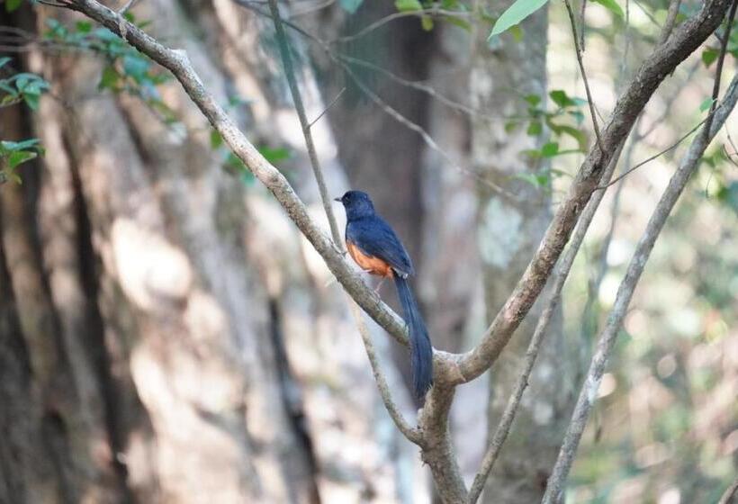 Pensão Bhawana Canal View Resort