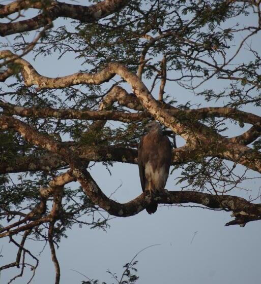 Pensão Bhawana Canal View Resort