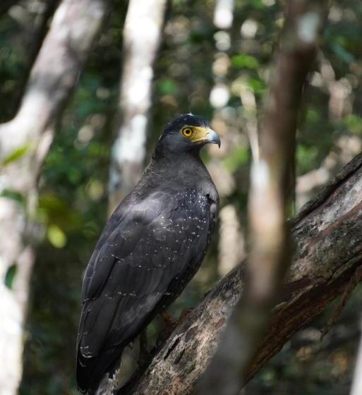 Pensão Bhawana Canal View Resort