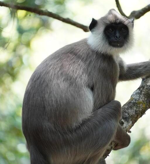 Pensão Bhawana Canal View Resort