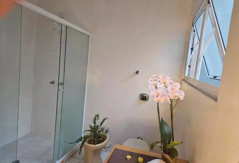 Majatalo Espaço Semente Poa Violeta