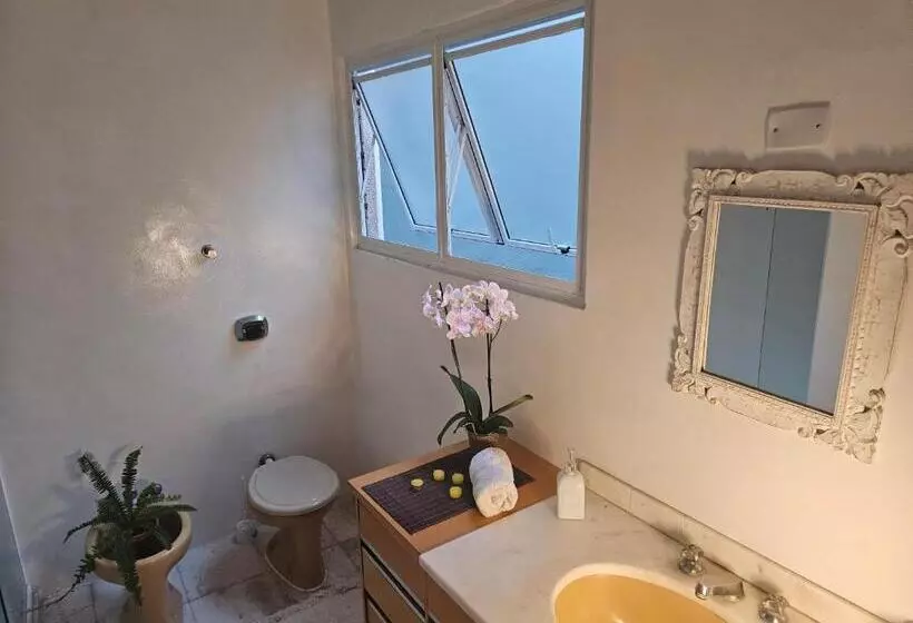 Majatalo Espaço Semente Poa Violeta