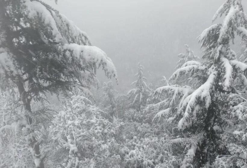 پانسیون Himvalley Luxury Health And Fitness Retreat