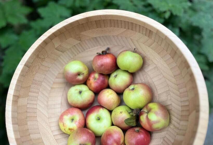 بنسيون Verta House