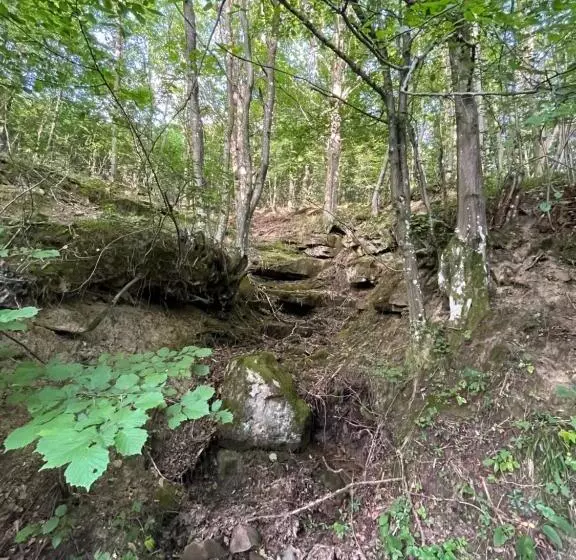 Majatalo Verta House