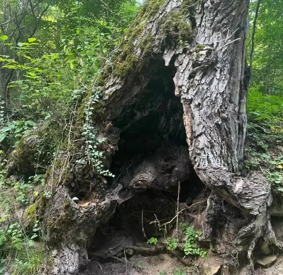 Majatalo Verta House