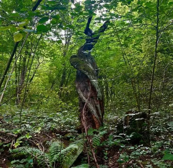 Majatalo Verta House