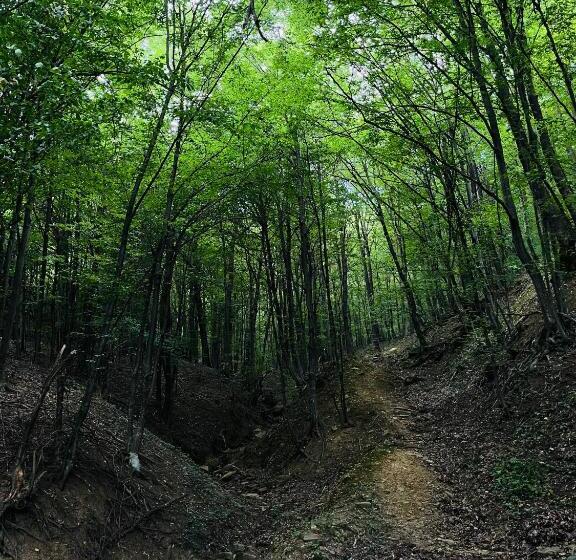 بنسيون Verta House