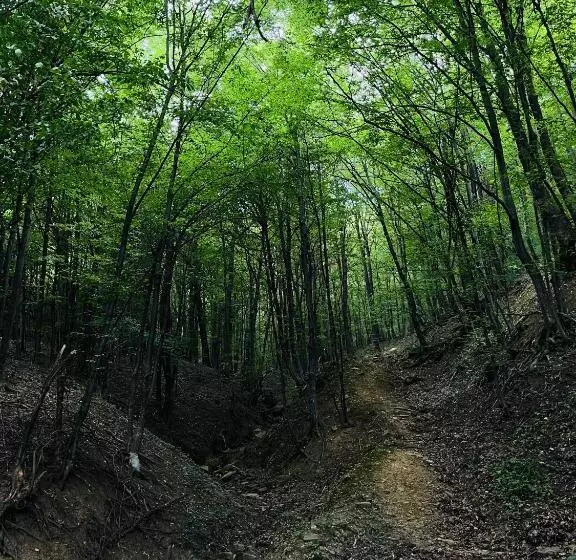 Majatalo Verta House