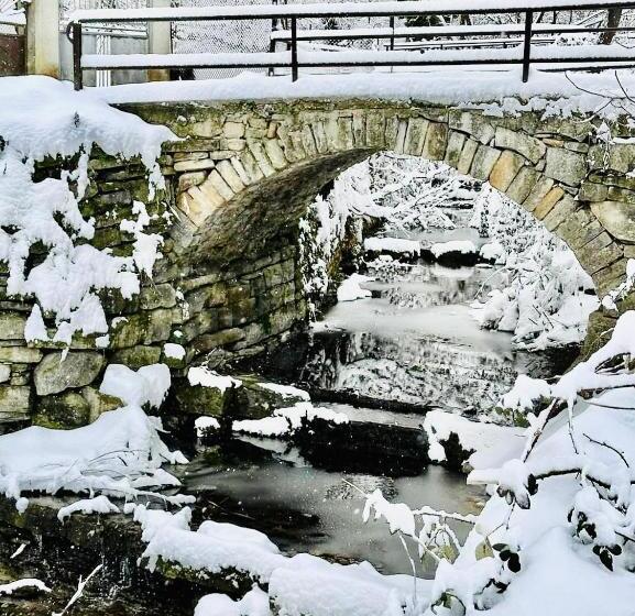 بنسيون Verta House