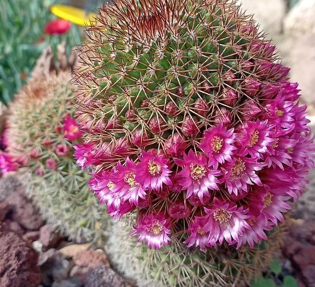 Пансион Finca Azuay   Bikers & Climbers Refuge