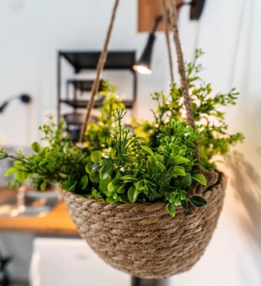 پانسیون Molo Di Levante