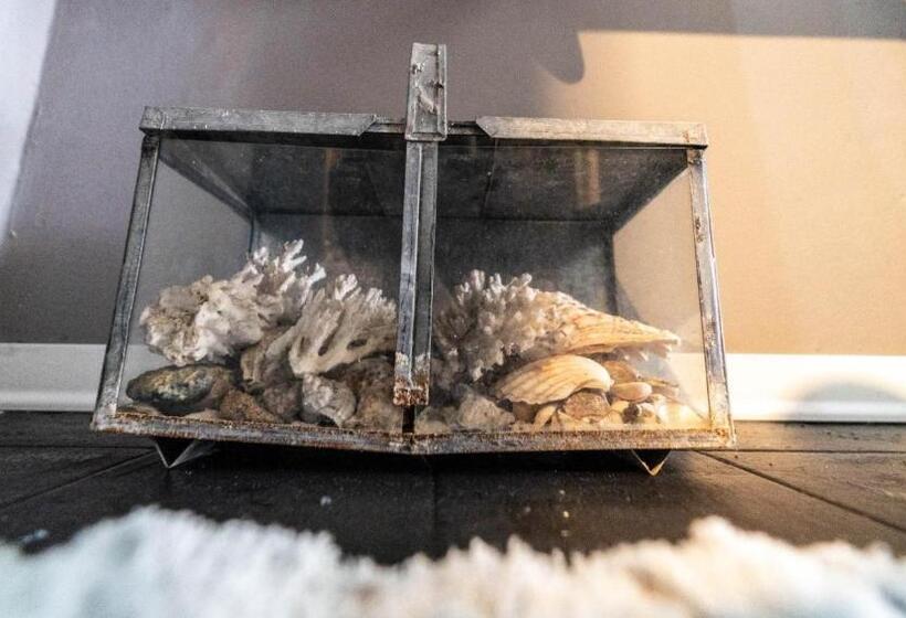 پانسیون Molo Di Levante