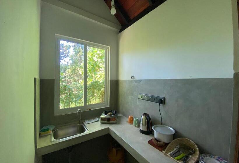 بنسيون Peacock Garden By Nature Hideout Mirissa