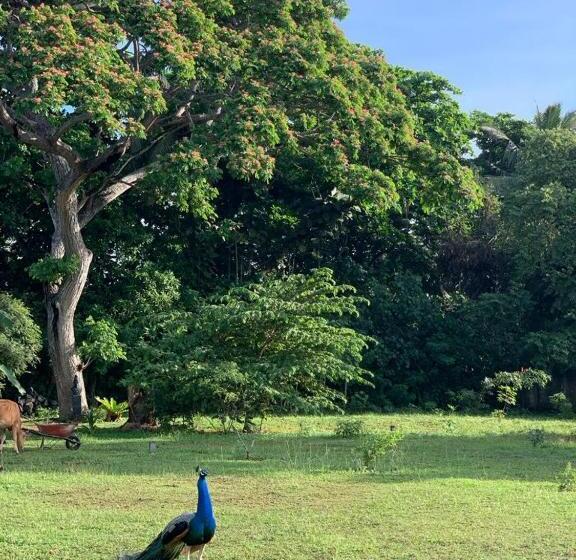 بنسيون Peacock Garden By Nature Hideout Mirissa