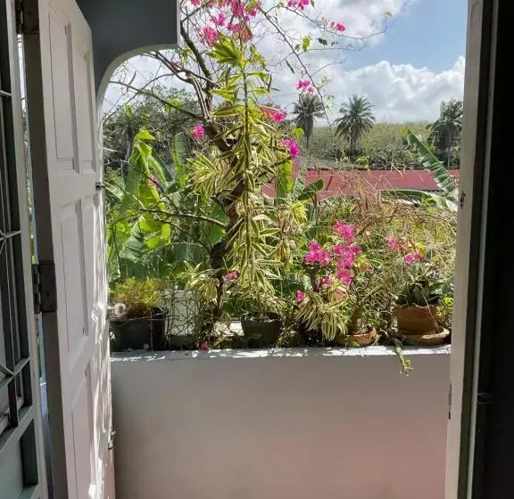 Aamiaismajoitus (B&B) Pamy Yoga Studio