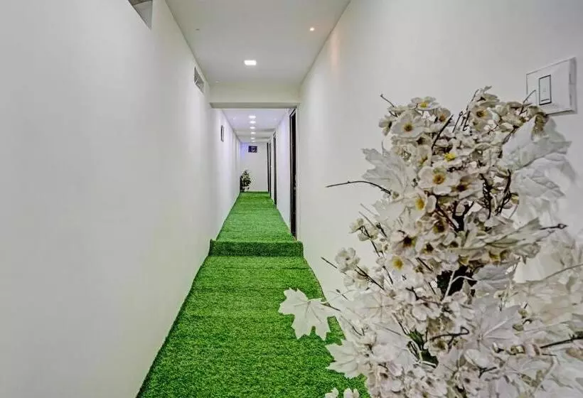 Collection O Hotel Kp