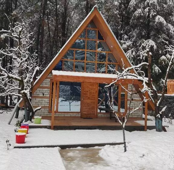 ホテル Avalanche Cottages