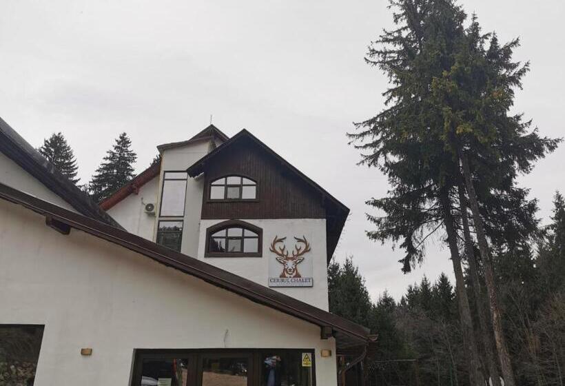 ホテル Cerbul Chalét Accommodation & Wellness