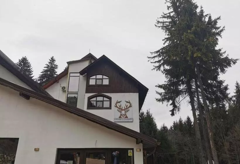 ホテル Cerbul Chalét Accommodation & Wellness