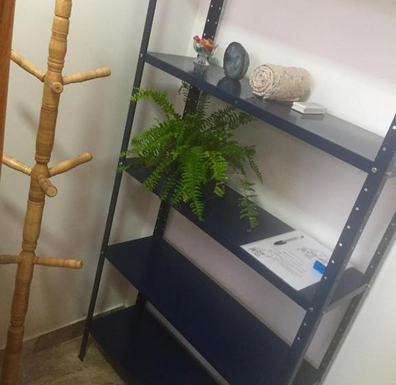 Отель Pé De Manga Hospedagem