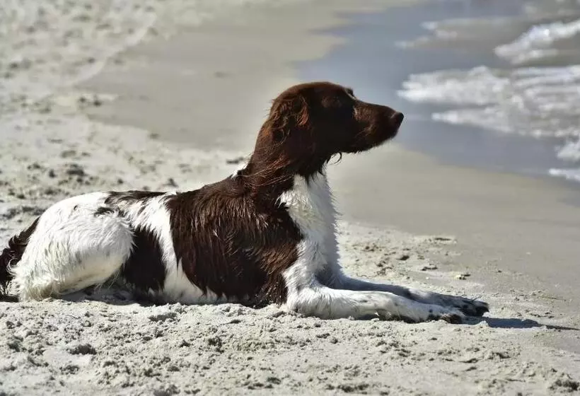 Appartementhaus Möwe