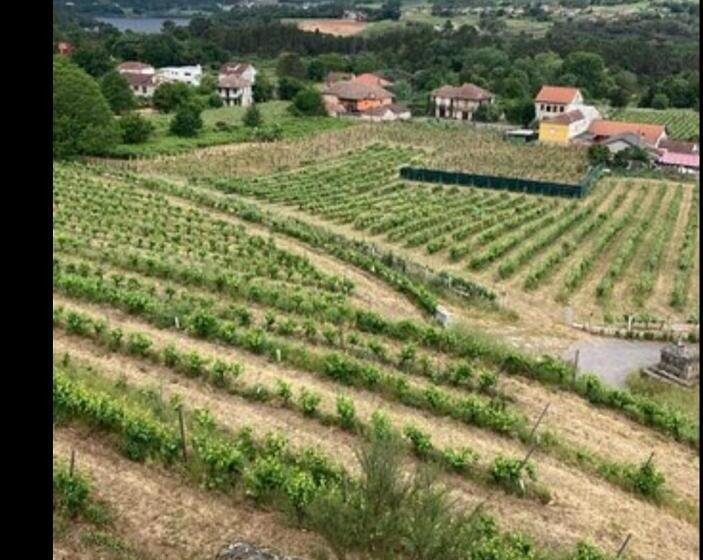 بنسيون Casa Do Avò