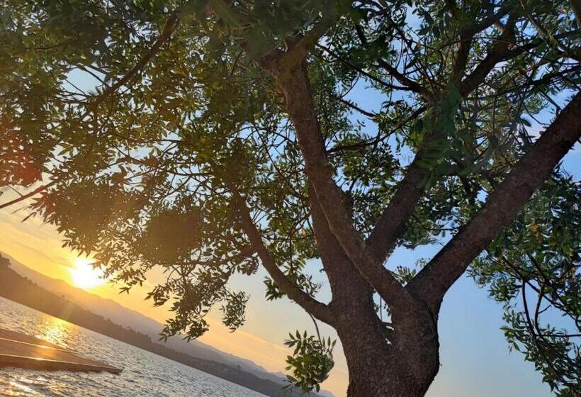 بنسيون Casa Do Avò