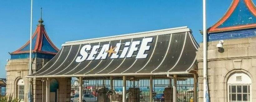 مبيت وإفطار Avalon