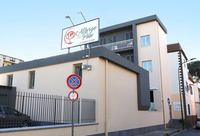 酒店 Albergo Del Pino