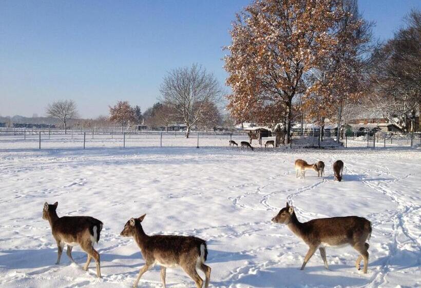 בית מלון כפרי B&b Roodbeekerhof