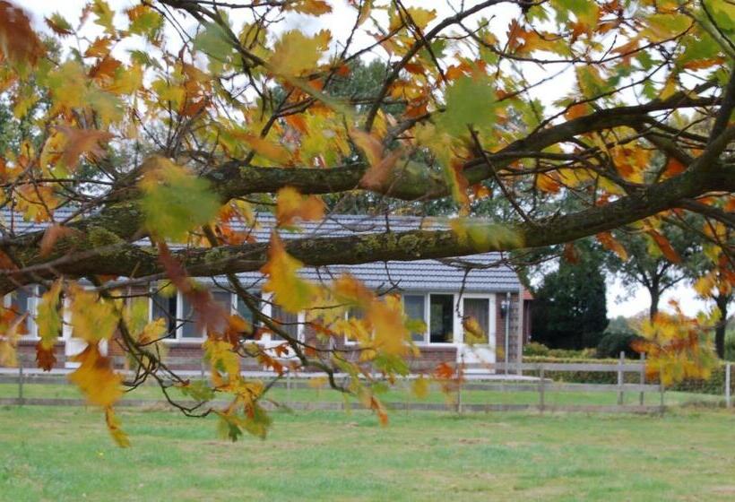 בית מלון כפרי B&b Roodbeekerhof