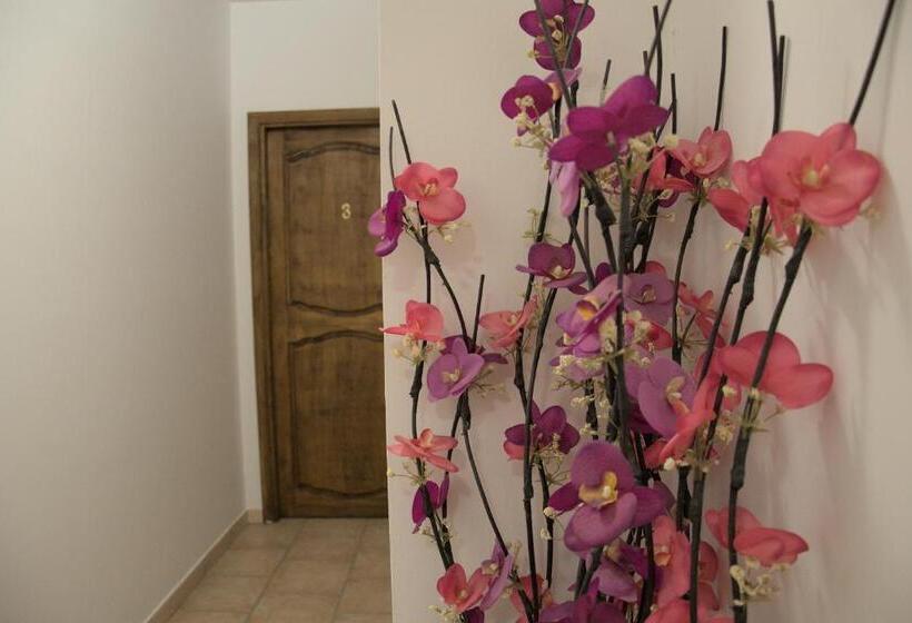 Bed and Breakfast Casale Del Gufo