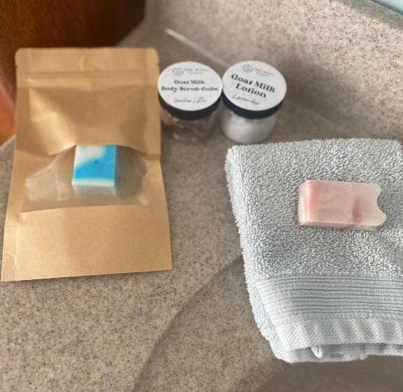 تختخواب و صبحانه Macfie House