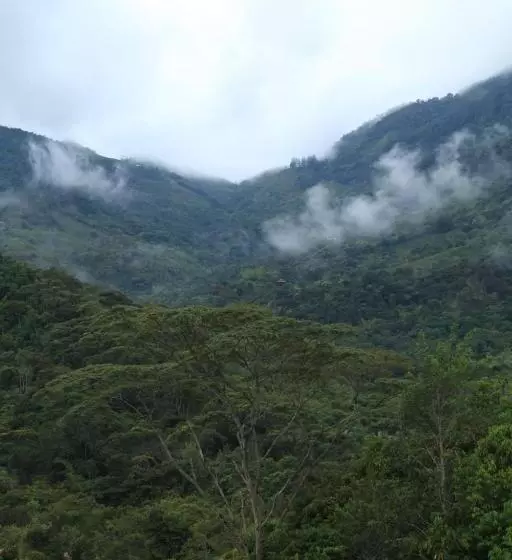 ホテル Aracari Ecolodge