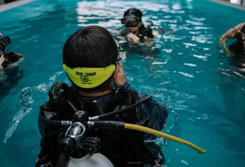 Отель Sealion Dive Center