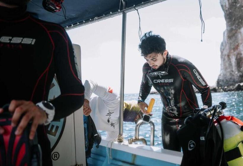 Отель Sealion Dive Center